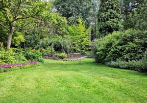 Optimiser l'expérience du jardin à Savigny-sous-Malain